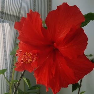 Meet your Posher, Heidi